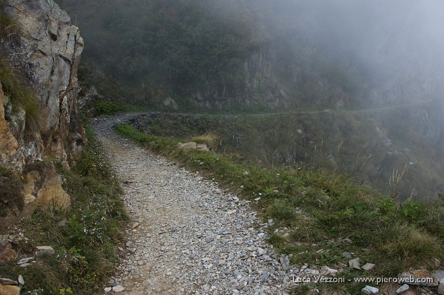 29- Ritorno con nebbia.jpg